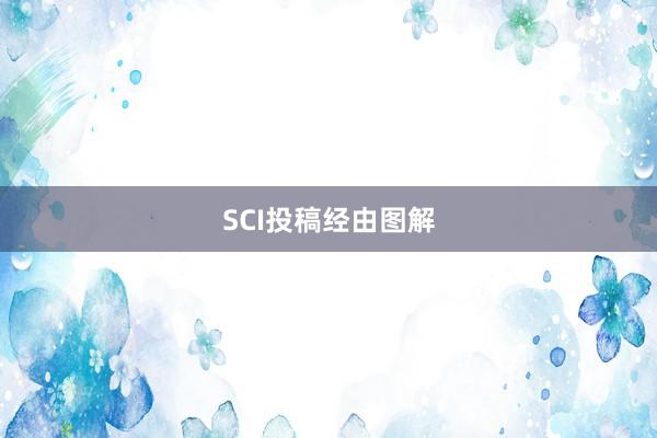 SCI投稿经由图解