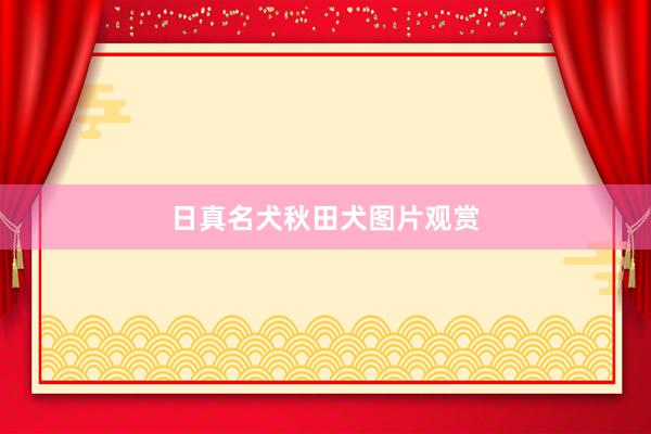 日真名犬秋田犬图片观赏